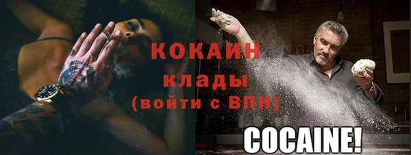 дживик Лагань
