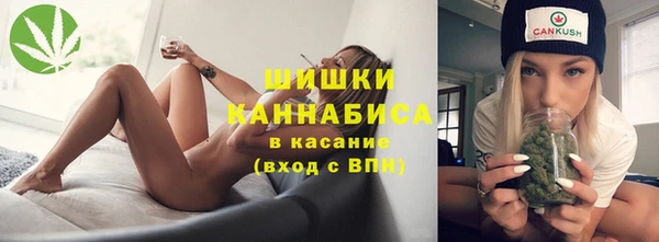 дживик Лагань