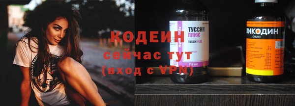 дживик Лагань